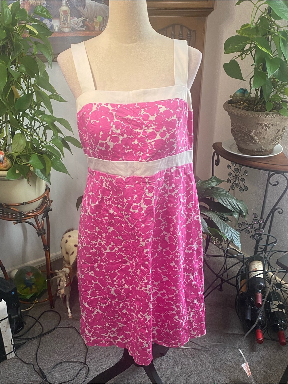 madison leigh Hot Pink and White Floral Mini Dress